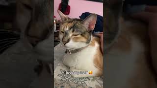 Loaf Loading