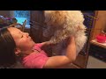 Funny ANIMALS: Try to BLOCK YOUR LAUGH - Best FUNNY ANIMAL compilation