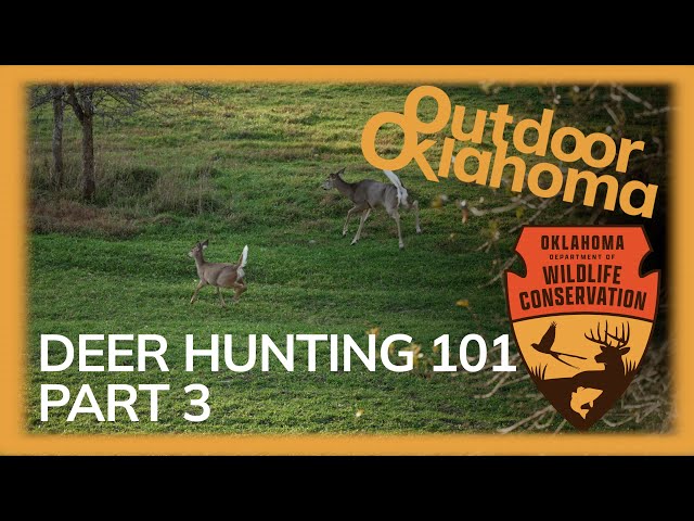 Watch Outdoor Oklahoma 4922 , Deer 101 part 3 4K on YouTube.