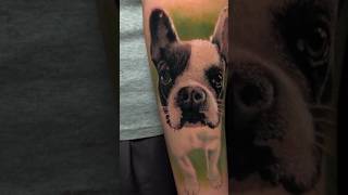 I Got A Realistic French Bulldog Tattooed On My Arm