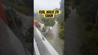 You Can Run, Walk Or Swim At The Ponds
