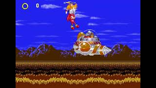 Tas Sonic 3 & Knuckles Hard Bosses Edition 2 V300.0 Knuckles In 10126.31 By Tuffcracker