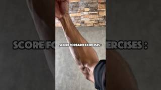 Hand Grip - Build Stronger Hands And Improve Performance