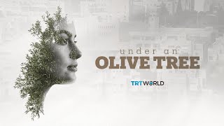 Trt Worlds Special Doentary Under An Olive Tree