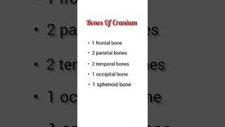 Bones Of The Cranium Explained Skull Anatomy For Students