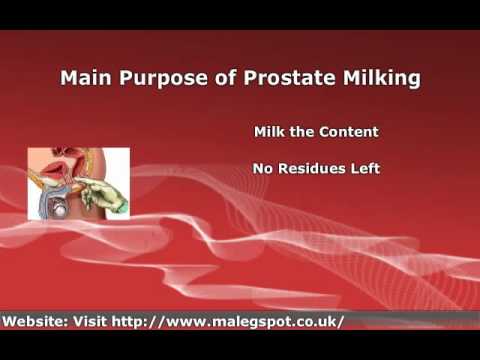 video on prostate milking