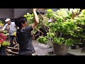 5-min ‘battles’ add flair to flower arranging - The Japan News