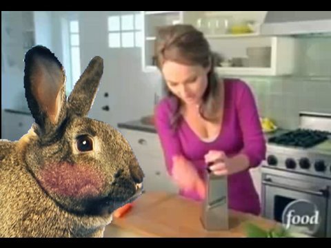 Giada De LaurentiisNice Carrots Everybody Loves Rabbit Bites
