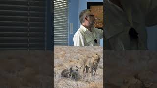 Etosha National Park In Namibia.