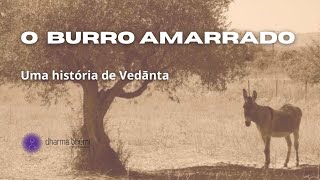 O BURRO AMARRADO