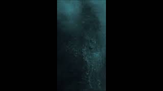 Dubberman - Follow The Girl