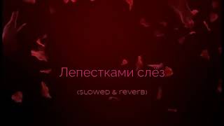 Лепестками Слез (Slowed & Reverb)