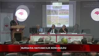 Bursada Hayvancılık Konuşuldu