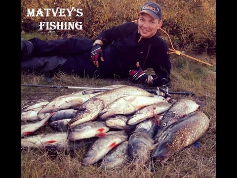 ловля налима кудьма ловля налима кудьма