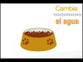 Medidas preventivas para combatir al patas blancas / Alcaldía de Baruta 2014
