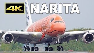 Close Up Takeoffs And Landings Tokyo Haneda Airport Plane Spotting Hndrjtt