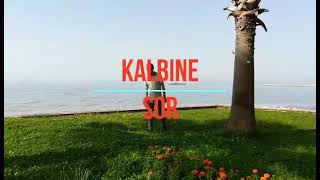 Yücel Aslan - Kalbine Sor