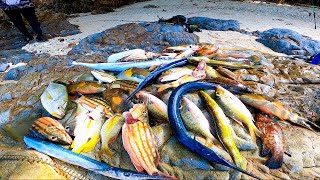 Harvest Sa Bagong Fishing Spot Kahit May Bulabog Na Pating