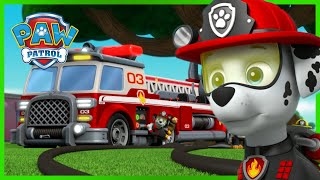 Más De 1 Hora De Episodios De Ree Máximo Y Más - Paw Patrol Español - Patrulla De Cachorros