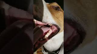 T Video5564726217594109959