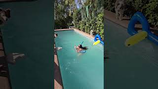 Mojó Con Un Balde Lleno De Agua A La Vale