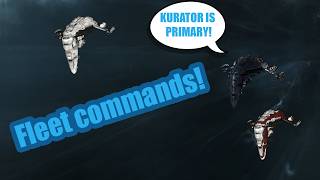 Fleet 102 - Master Fleet Operations Eve Online Fleet Guide