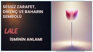 Lale Isminin Anlamı Sessiz Zarafet, Direnç Ve Baharın Sembolü