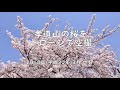 孝道山の桜 ドローン撮影
