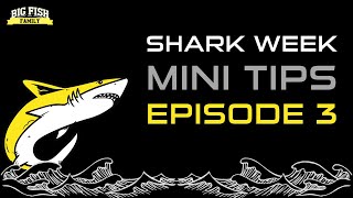 Shark Week Video # 3