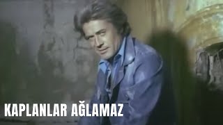 Kaplanlar Ağlamaz Cüneyt Arkın Filmleri