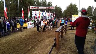 2015 Ifss Dryland World Championships In Bristol, Qc, Canada - 4 Dog Rig - Part 2
