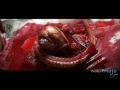 Top 10 Movies You Shouldn T Watch Alone Top 10 Movies You Shouldn T Watch Alone