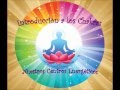 Introduccion a los centros de energia - chakras