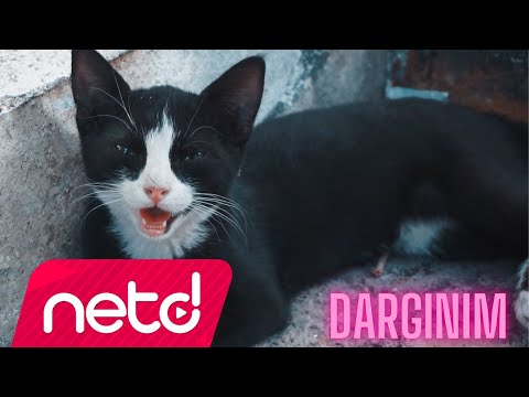 Hasan Aksoy - Dargınım