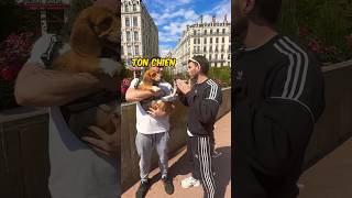 Qui Me Prête Son Chien Pendant 24H ?