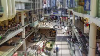 Daelibs Omni For Facilities Management