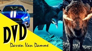 My Favorite TV Shows | Best Series on Netflix, HBO, Prime & More! | Darren Van Damme