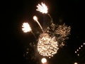 Fuegos Artificiales (Fireworks) at San Antonio bay