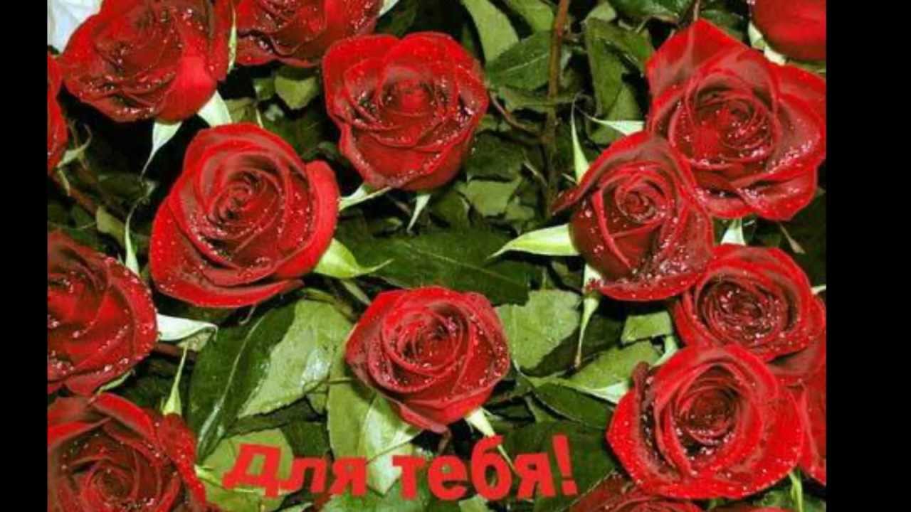 Сценарий поздравления с днем рождения для сестры от Сценарий поздравления с днем рождения для сестры от