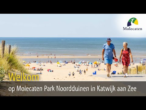 Youtube Vorschau Youtube Vorschau