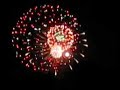 Title:Fireworks at Herndon Festival 2008 Description:Captured the last few fireworks of the Herndon Festival on 31st May 2008. Not very clear but it was good.