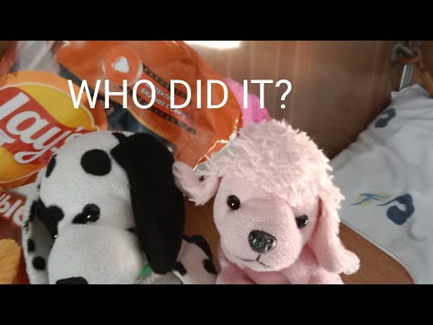 WHO DID IT?
