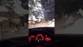 Tek Dileğim Sensin