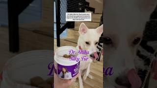 My Dogs Loves Dr. Shiba Treats
