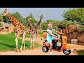 Diana feeds animals at the zoo, fun family trip