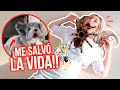 Fingiendo ATAQUE de ARAÑA GIGANTE delante de mi PERRO!! ?? |...