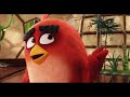 Angry Birds Movie Clip Compilation 2016 Angry Birds Movie Clip Compilation 2016