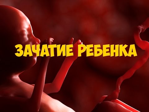 Зачатие ребенка смотреть онлайн бесплатно Зачатие ребенка смотреть онлайн бесплатно