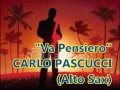 CARLO PASCUCCI ► Và Pensiero (Instrumental)