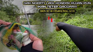 Edunn Hujan Ikan Tetep Ganas Sampe Rela Kehujanan Mancing Teknik Pelampung